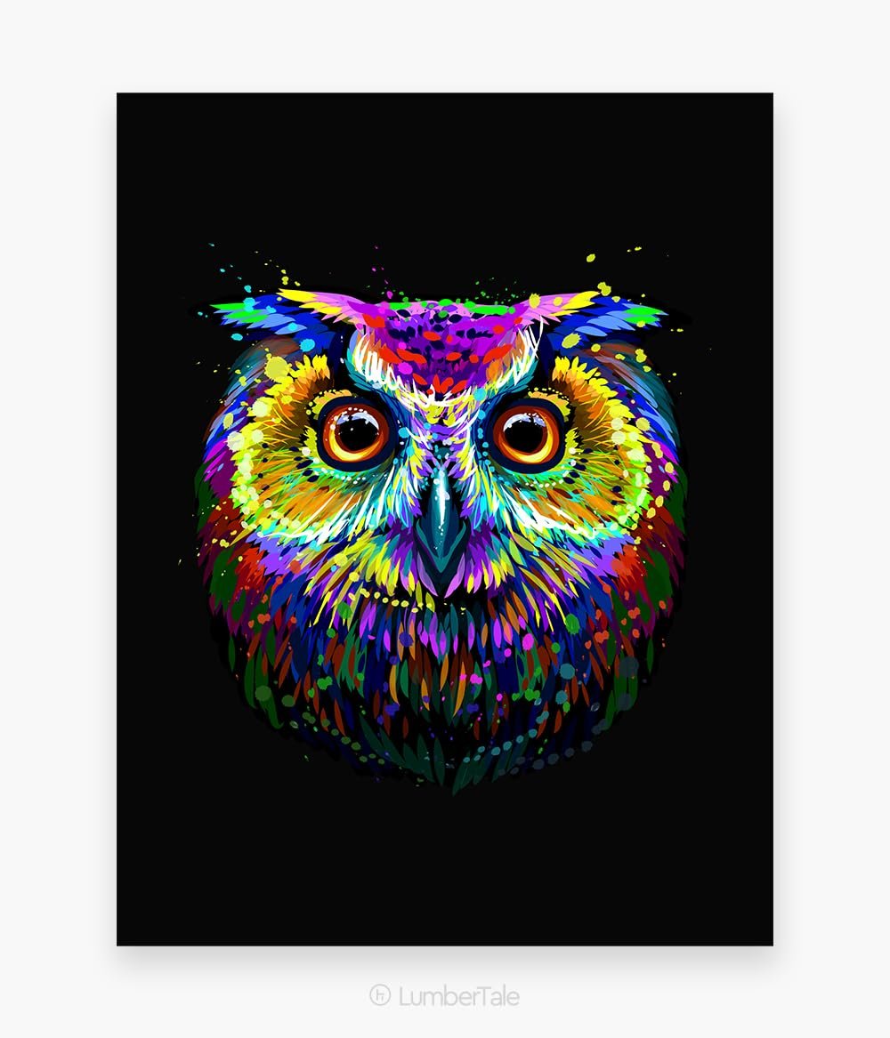 Black Soren Owl Bird Modern Acrylic Art Crafted Wall Hanging For Home Decor