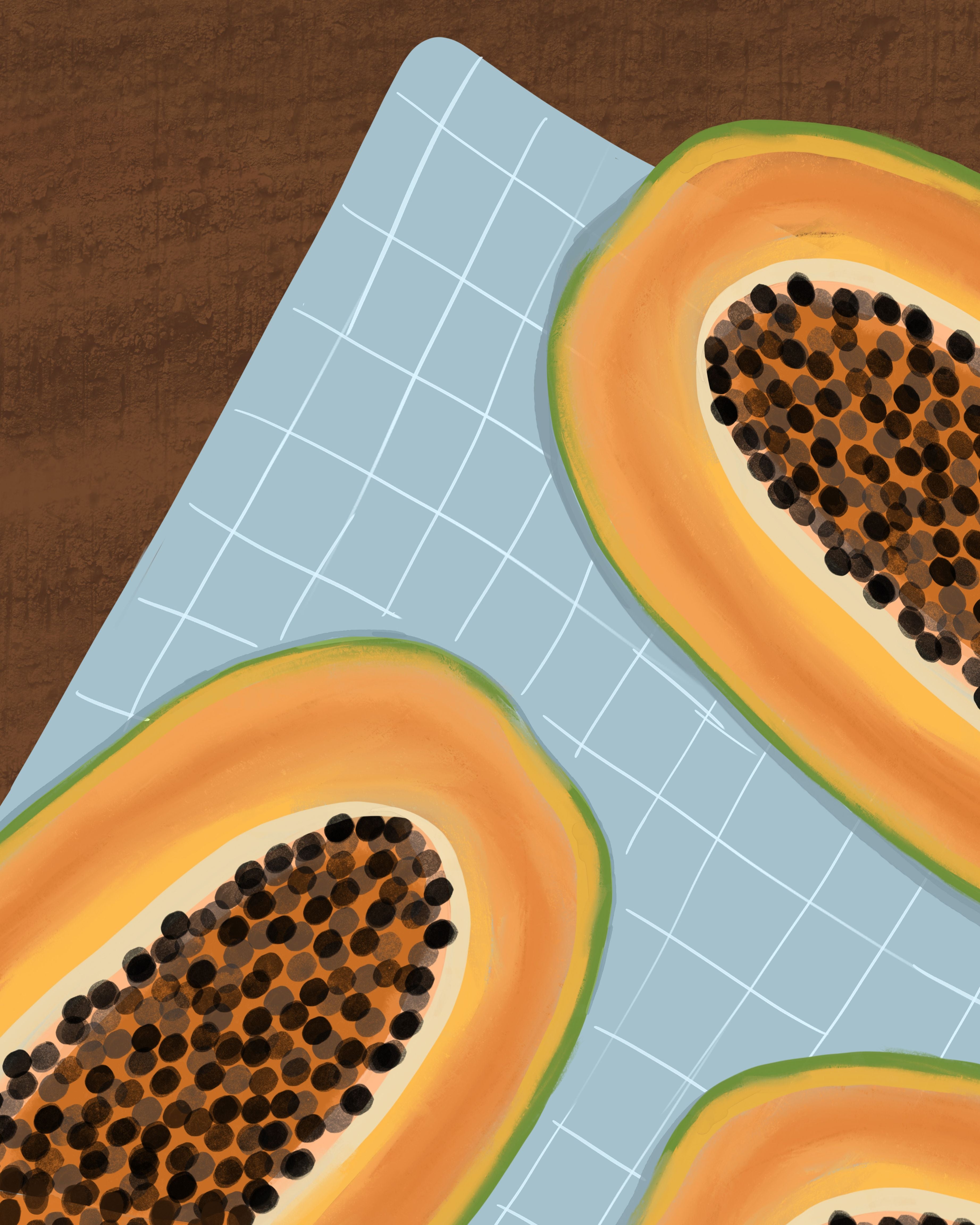 Tropical Papaya - Modern Abstract - Stretched Canvas