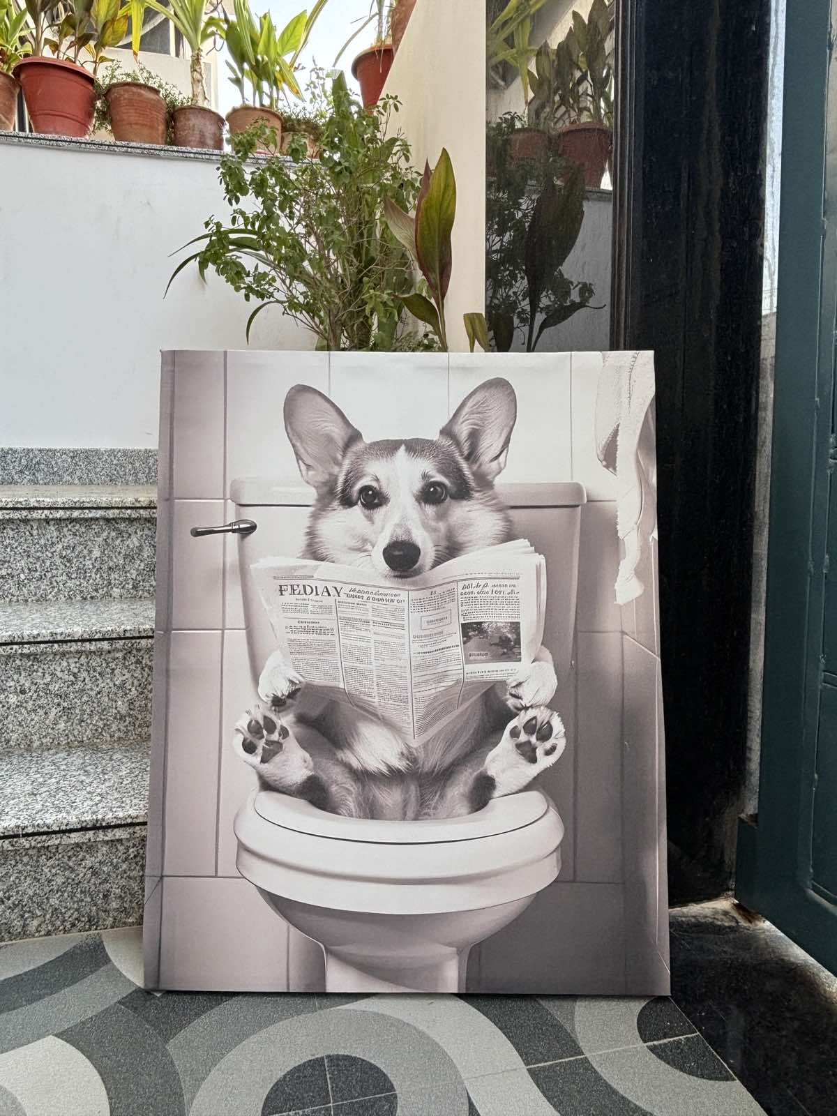 Pawperazzi Privacy – The Toilet Corgi Chronicles – Stretched Canvas for Loo Laughs, Guest Bathrooms & Dog-Loving Homes