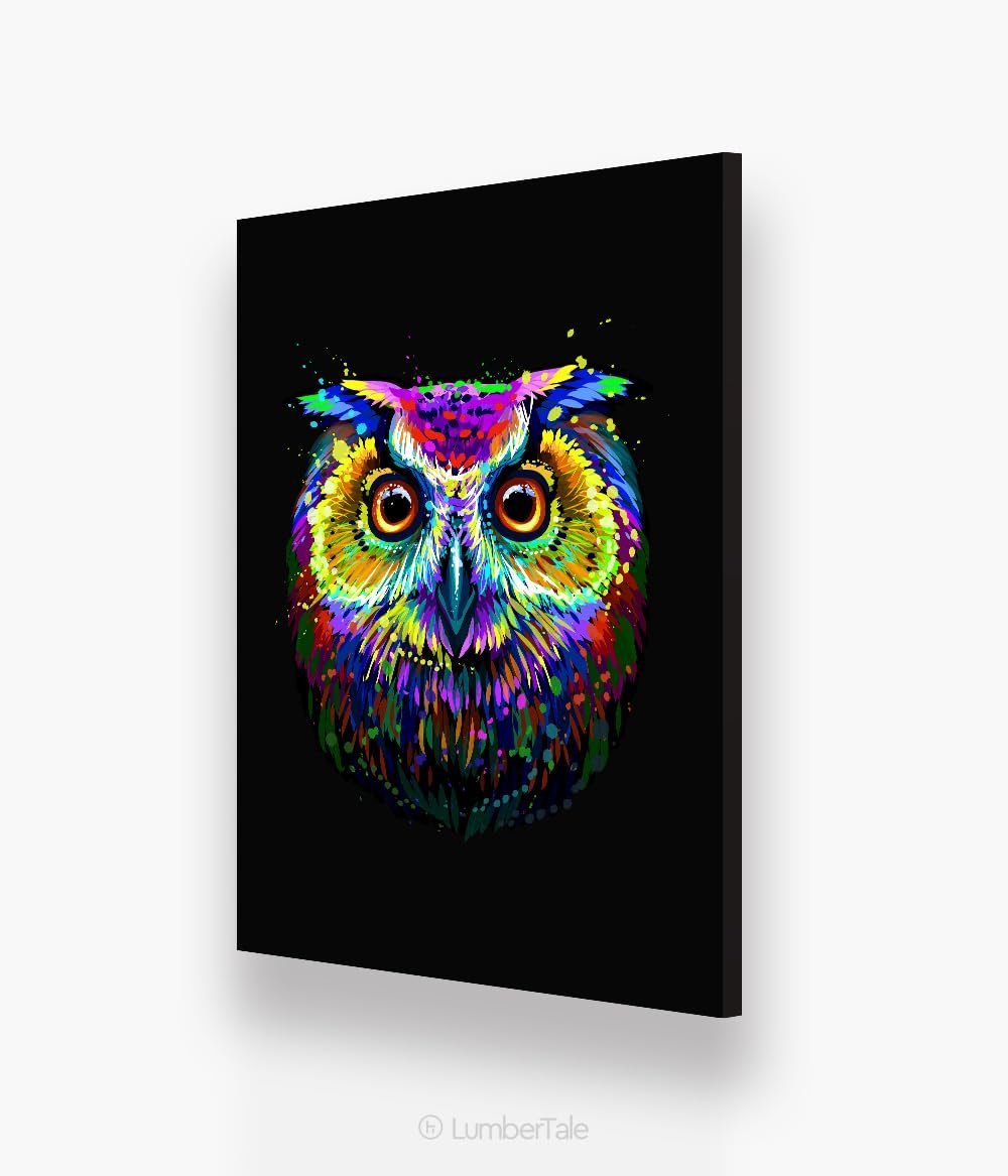 Black Soren Owl Bird Modern Acrylic Art Crafted Wall Hanging For Home Decor