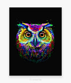 Black Soren Owl Bird Modern Acrylic Art Crafted Wall Hanging For Home Decor