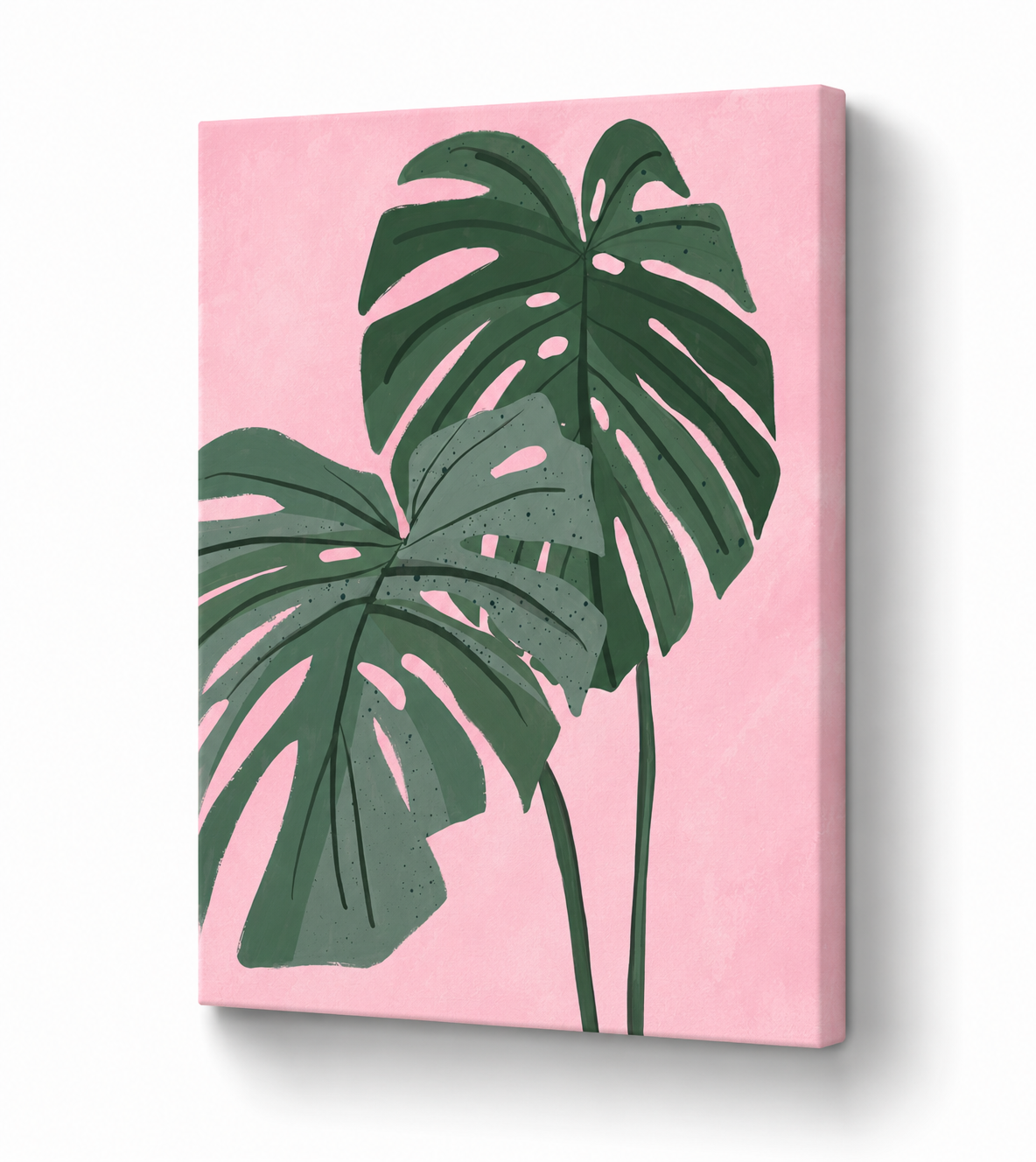 Blush Tropics - Monstera Botanical - Stretched Canvas