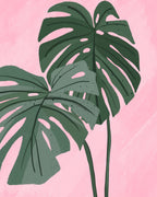 Blush Tropics - Monstera Botanical - Stretched Canvas