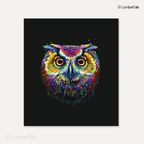 Black Soren Owl Bird Modern Acrylic Art Crafted Wall Hanging For Home Decor