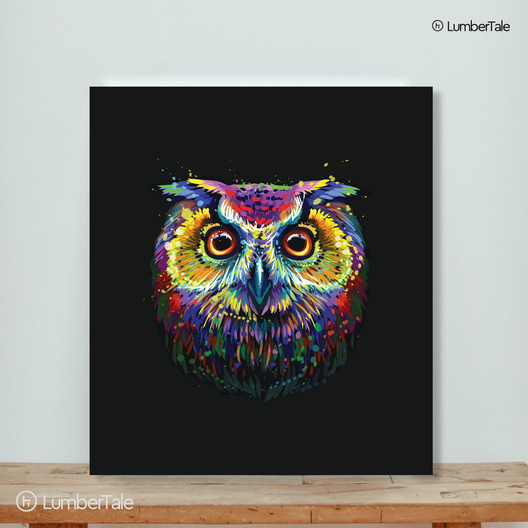 Black Soren Owl Bird Modern Acrylic Art Crafted Wall Hanging For Home Decor