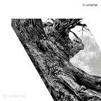 Twisted Roots & Midnight Whispers - Monochrome Tree Drama - Stretched Canvas For Moody Corners, Thoughtful Walls, and Earthy Aesthetes